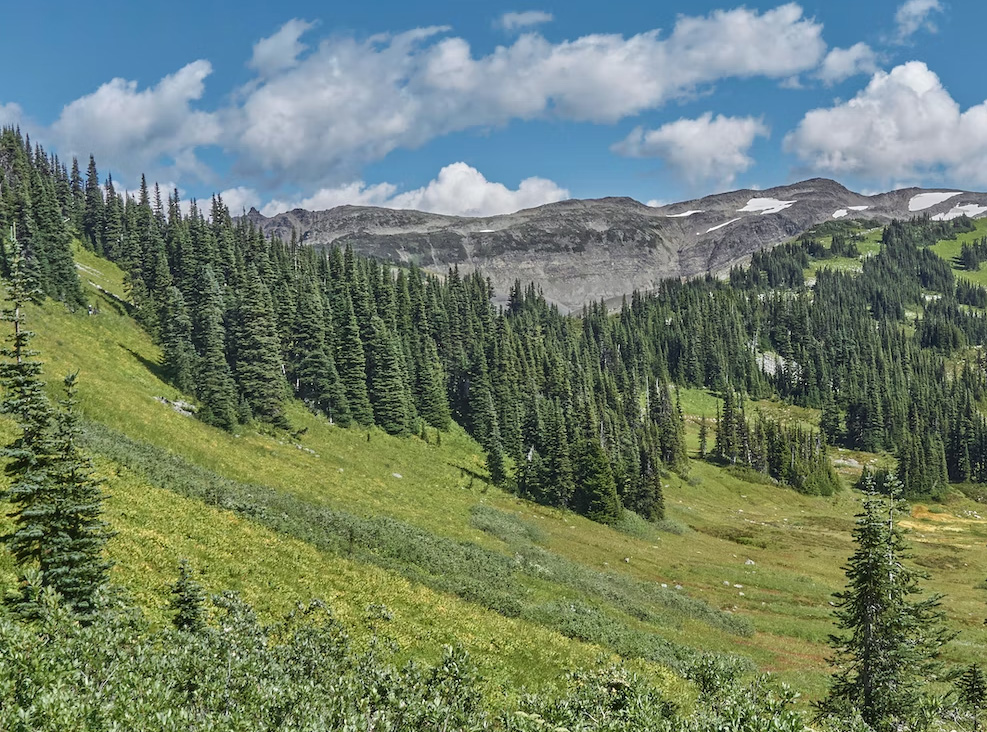 SostenibilitĂ  +mino